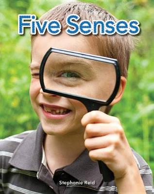 Book cover for Five Senses Lap Book