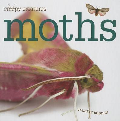 Cover of Moths