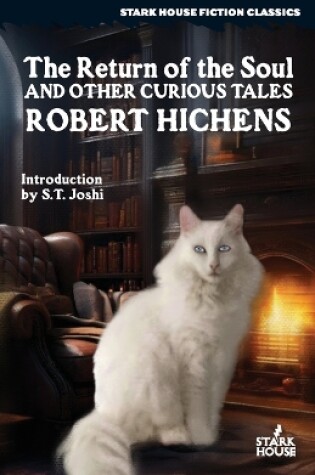 Cover of The Return of the Soul & Other Curious Tales