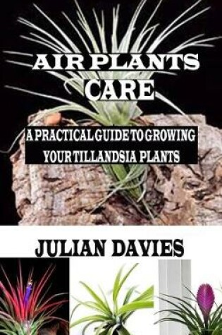 Cover of Air Plants Care