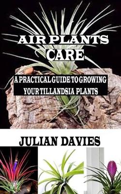 Book cover for Air Plants Care