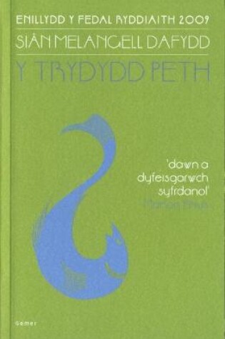 Cover of Trydydd Peth, Y  Enillydd y Fedal Ryddiaith 2009