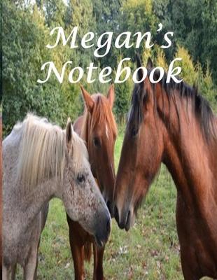 Book cover for Megan's Notebook