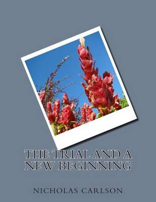 Book cover for The Trial and a New Beginning