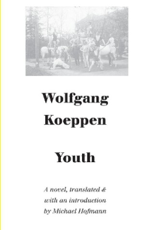 Cover of Youth – A Novel