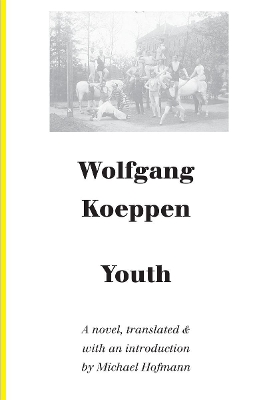 Book cover for Youth – A Novel