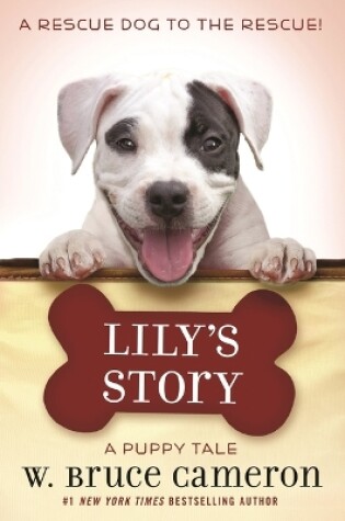 Cover of Lily's Story