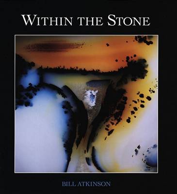 Book cover for Within the Stone
