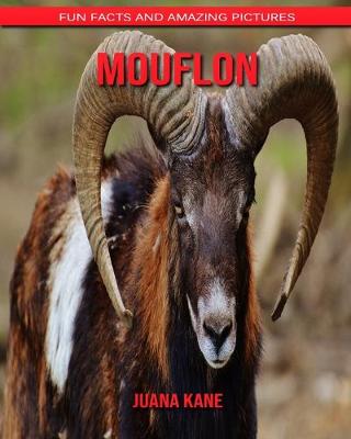 Book cover for Mouflon