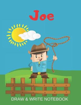 Book cover for Joe Draw & Write Notebook