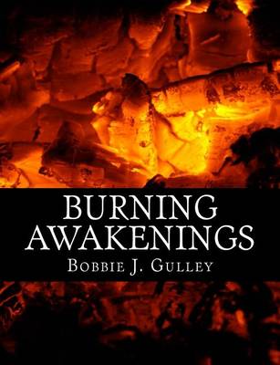 Book cover for Burning Awakenings