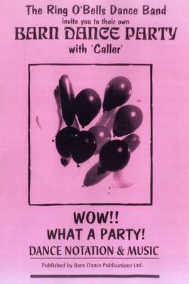 Book cover for Wow What a Party