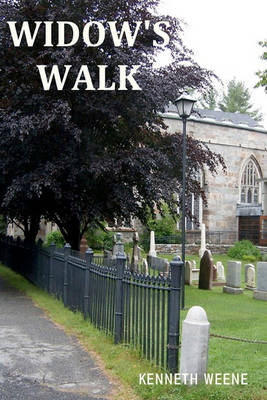 Book cover for Widow's Walk