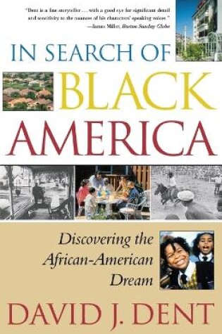 Cover of In Search of Black America