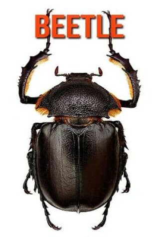 Cover of Beetle