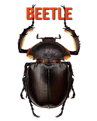 Book cover for Beetle