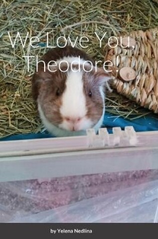 Cover of We Love You, Theodore!