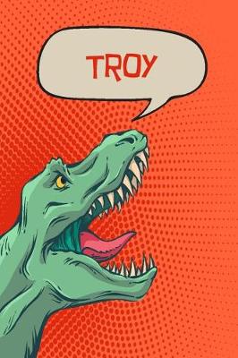 Book cover for Troy