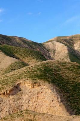 Book cover for The Hills of Judea in Israel