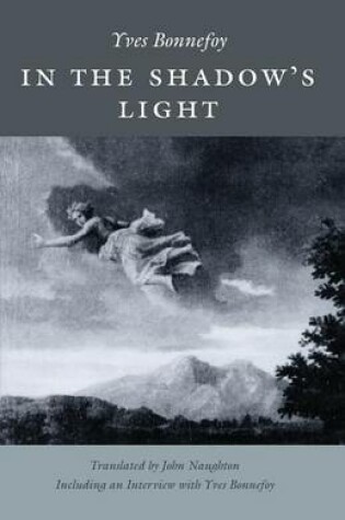 Cover of In the Shadow's Light