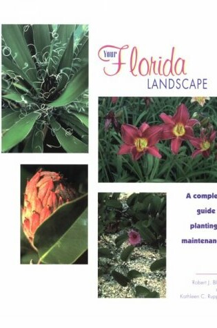 Cover of Your Florida Landscape