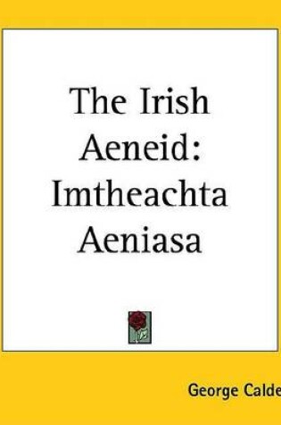 Cover of The Irish Aeneid