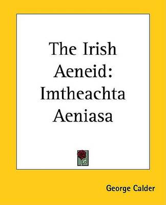 Book cover for The Irish Aeneid