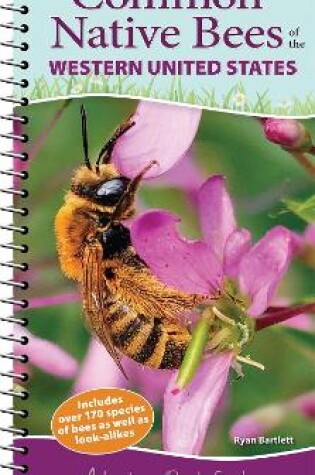 Cover of Common Native Bees of the Western United States