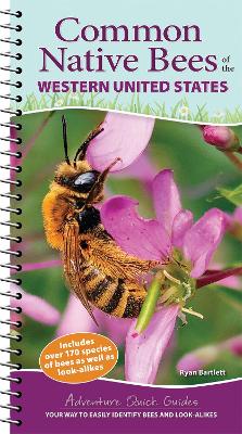 Book cover for Common Native Bees of the Western United States