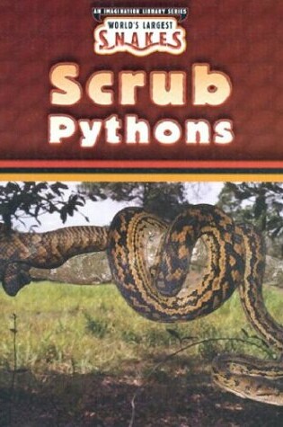 Cover of Scrub Pythons