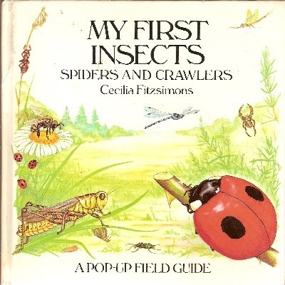 Cover of My First Insects