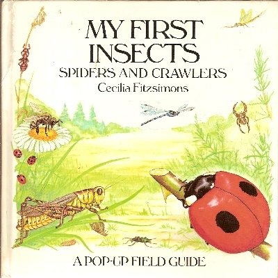 Book cover for My First Insects