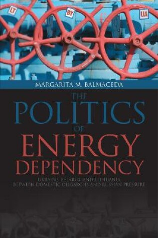 Cover of Politics of Energy Dependency