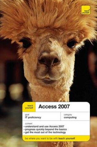 Cover of Teach Yourself Access 2007 (McGraw-Hill Edition)