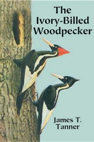 Cover of The Ivory-Billed Woodpecker