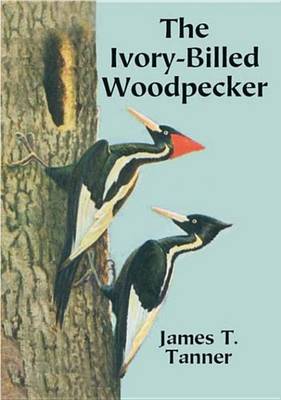 Cover of The Ivory-Billed Woodpecker