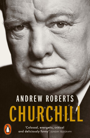 Book cover for Churchill