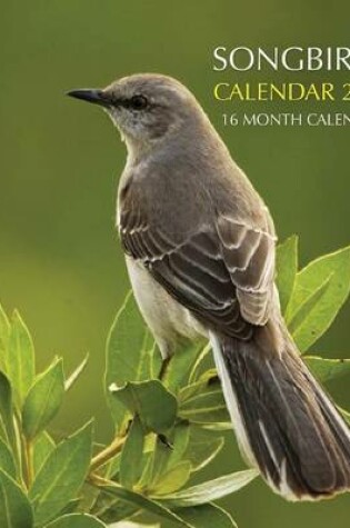 Cover of Songbirds Calendar 2016