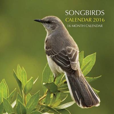 Book cover for Songbirds Calendar 2016