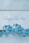 Book cover for Forget Me Not