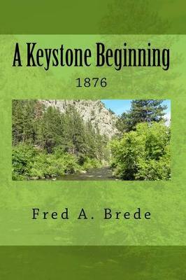 Book cover for A Keystone Beginning