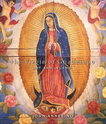 Book cover for Virgin of Guadalupe