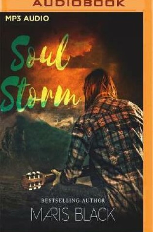 Cover of Soul Storm
