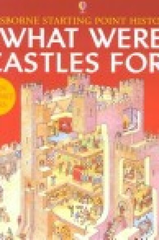 Cover of What Were Castles For?