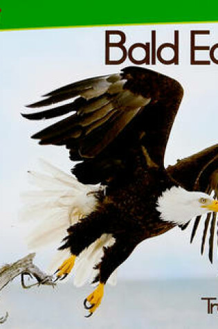 Cover of Bald Eagles