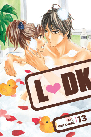 Cover of LDK 13