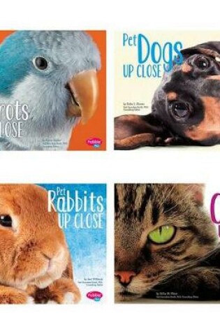 Cover of Pets Up Close