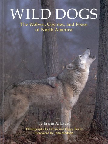 Book cover for Wild Dogs