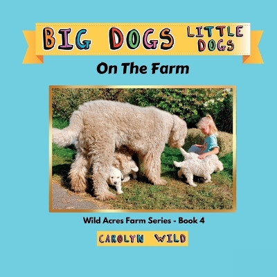 Book cover for Big Dogs Little Dogs