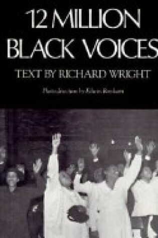 Cover of Twelve Million Black Voices